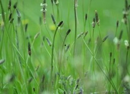 cao国产,历史、文化与现代发展的交融画卷