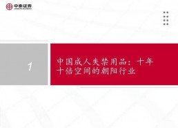 国产37页,深度解析我国科技发展的新篇章